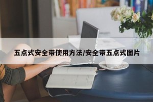 五点式安全带使用方法/安全带五点式图片